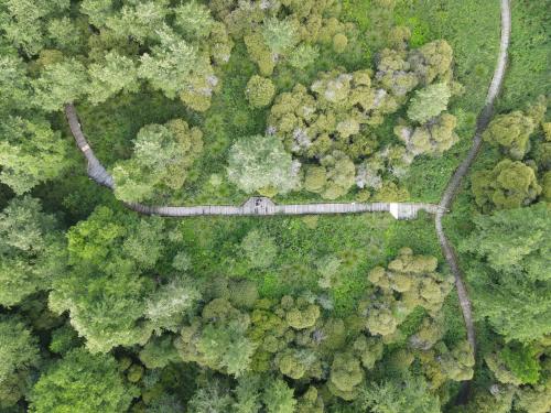 DJI_3039.JPG